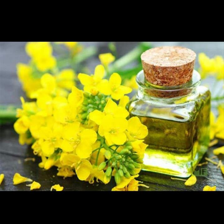 روغن زیتون با بو خالص یک لیتری  به سراسر ایران با پست سریع